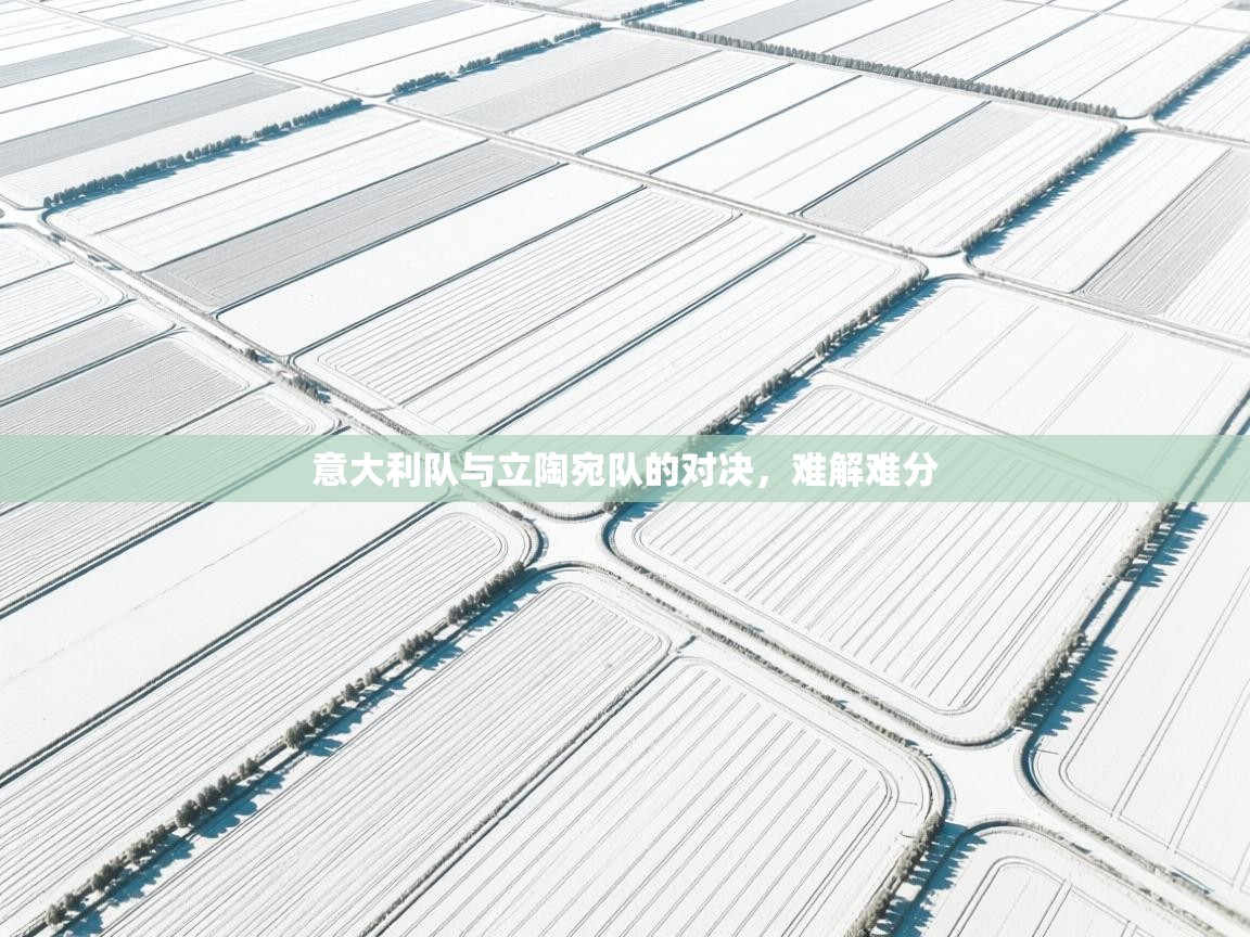 意大利队与立陶宛队的对决，难解难分