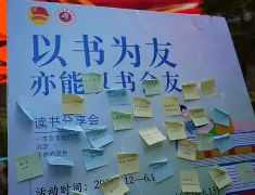 恩与伯特-施天利,结交艺术长时间开战的简单介绍