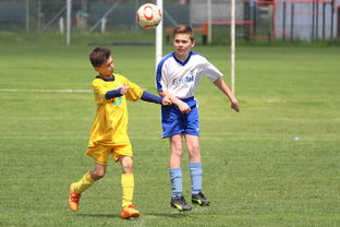 澳客官网首页电脑版-斯洛伐克备战欧预赛，备受瞩目